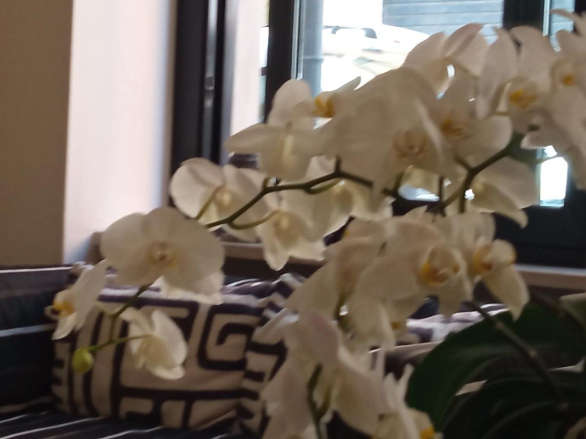 Hotel Touring ลีวอร์โน ภายนอก รูปภาพ